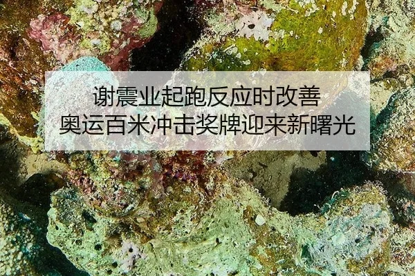 xie-zhen-ye-qi-pao-fan-ying-shi-gai-shan-ao-yun-bai-mi-chong-ji-jiang-pai-ying-lai-xin-shu-guang-2-849.jpg