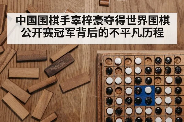 中国围棋手辜梓豪夺得世界围棋公开赛冠军背后的不平凡历程