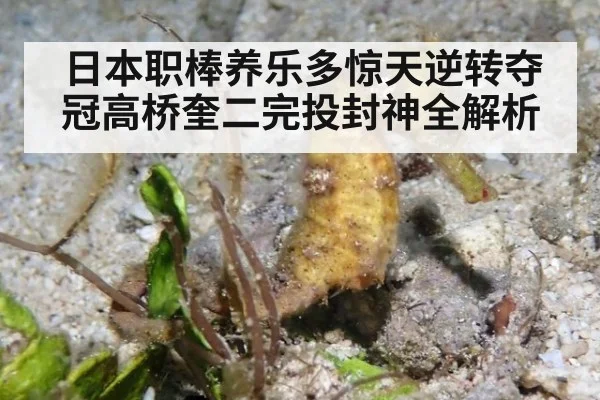 日本职棒养乐多惊天逆转夺冠高桥奎二完投封神全解析