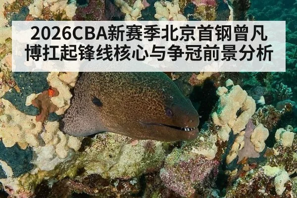 2026CBA新赛季北京首钢曾凡博扛起锋线核心与争冠前景分析